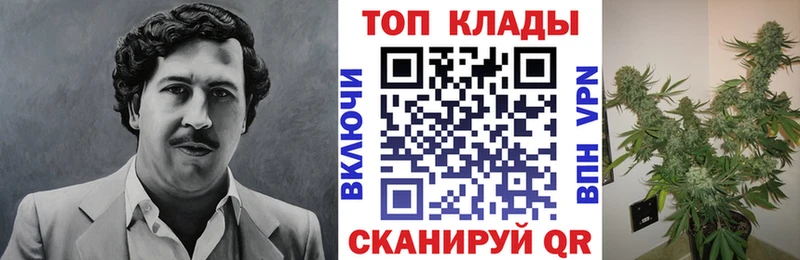 Где можно купить наркотики Новомосковск Каннабис  Галлюциногенные грибы  ГАШИШ  АМФЕТАМИН 