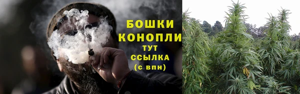 MESCALINE Аркадак