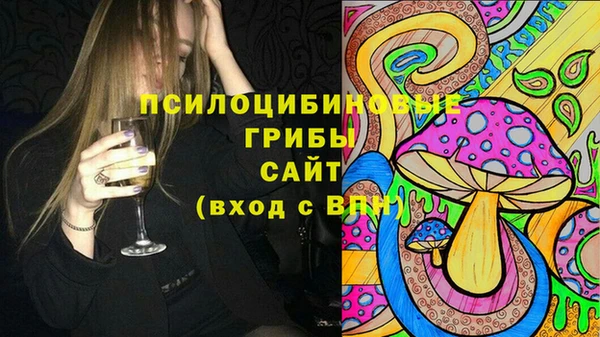 MESCALINE Аркадак