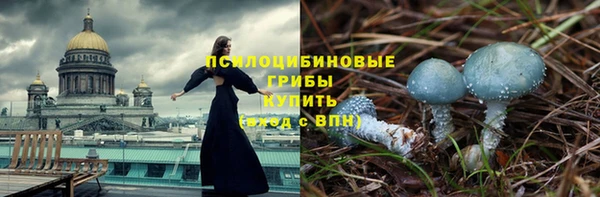 MESCALINE Аркадак
