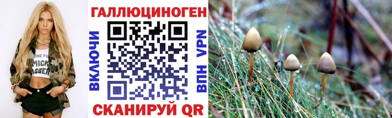 Псилоцибиновые грибы GOLDEN TEACHER  Новомосковск 